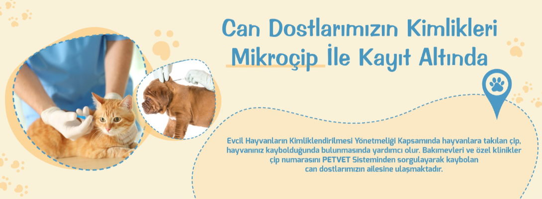 Can Dostlarımızın Kimlikleri Mikroçip ile Kayıt Altında