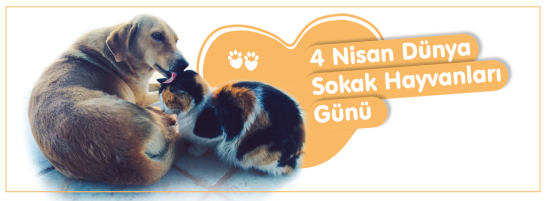 Belediye Başkanı Sayın Ülgür Gökhan'ın 4 Nisan Dünya Sokak Hayvanları Günü Mesajı