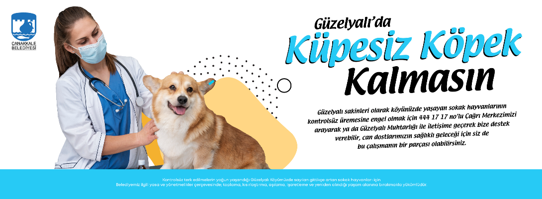 Güzelyalı'da Küpesiz Köpek Kalmasın