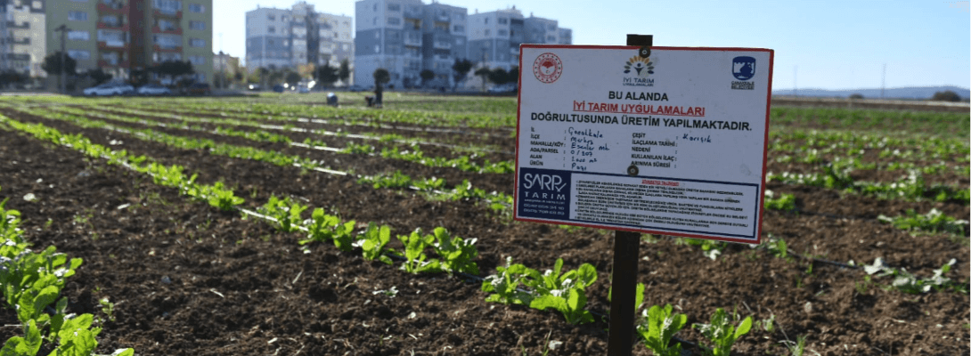 Çanakkale Belediyesi İyi Tarım Uygulamalarına Devam Ediyor