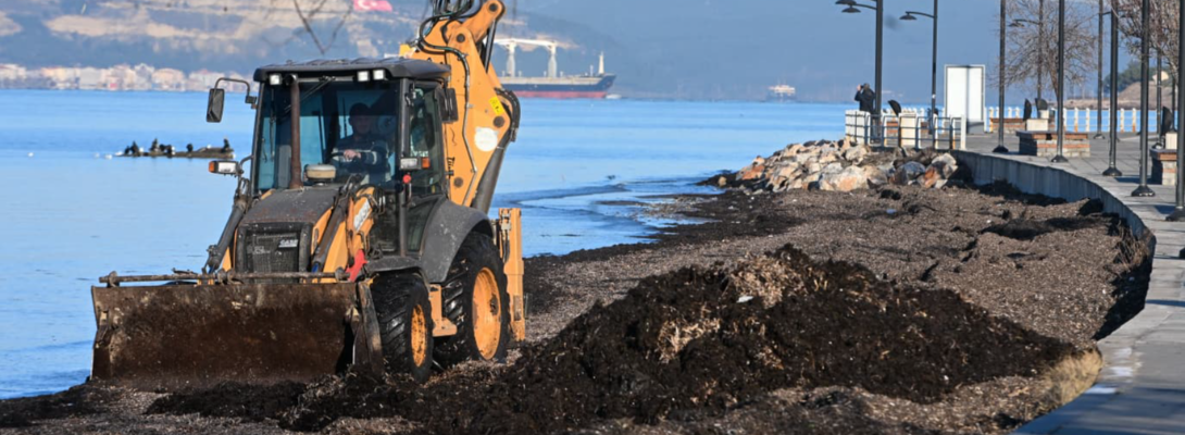 Sahil Kesimlerinde Temizlik Çalışmaları Sürüyor