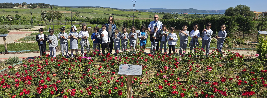 Kentin Mis Kokulu Parkı, Ziyaretçilerini Ağırlamaya Devam Ediyor