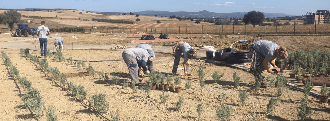 Kent Merkezinde Mis Kokulu Bir Bahçe: Aromatik ve Tıbbi Bitkiler Parkı