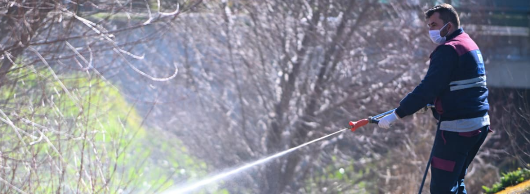 Sivrisinek ve Karasinek Mücadele Çalışmaları Sürüyor