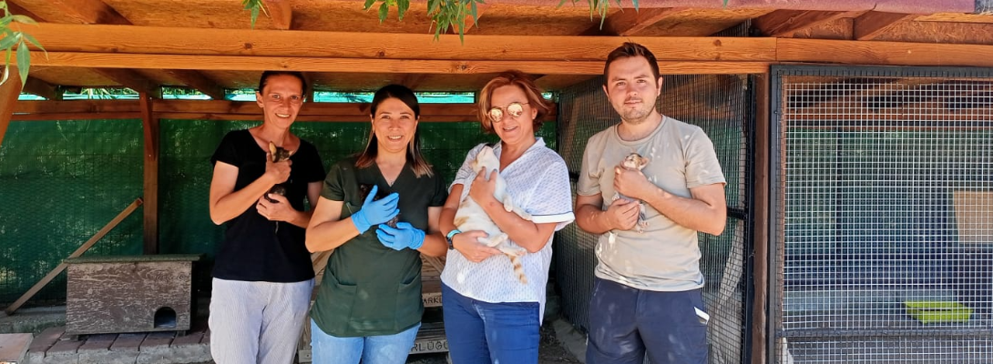 Kedi Köyü Sakinlerine Sağlık Taraması Yapıldı