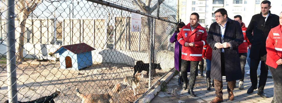 Başkan Erkek Sokak Hayvanları Bakım ve Rehabilitasyon Merkezi'ni Ziyaret Etti