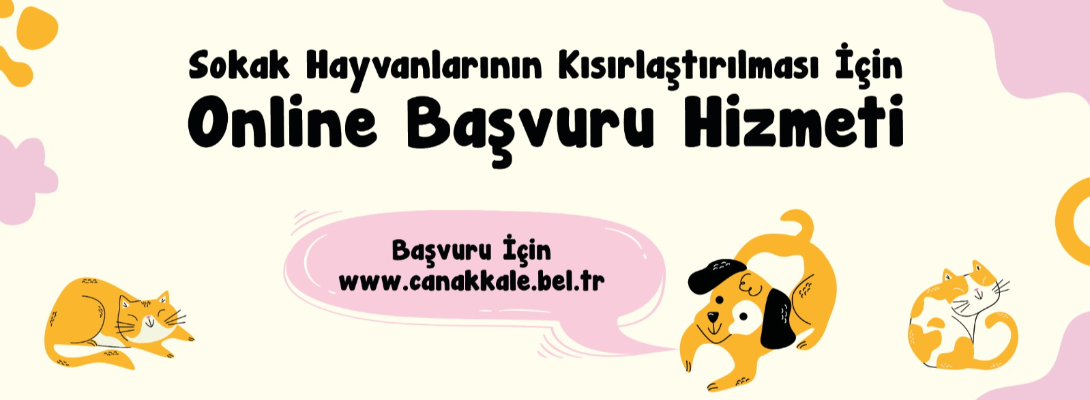 Sokak Hayvanlarının Kısırlaştırılması için Online Başvuruda Bulunabilirsiniz…