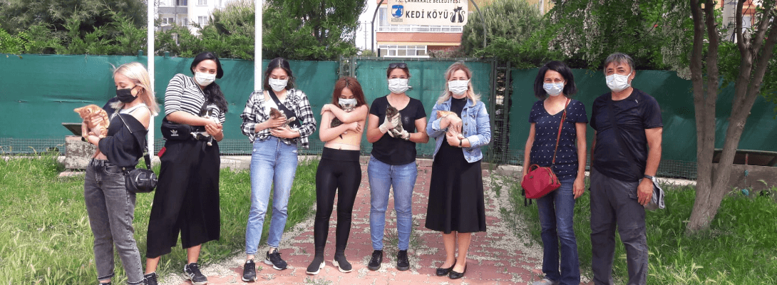 Yaşar Üniversitesi Öğrencileri Kedi Köyünü Ziyaret Etti
