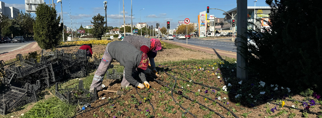 Seralarımızda Ürettiğimiz Bitkilerle Kenti Yeşillendirmeye Devam Ediyoruz