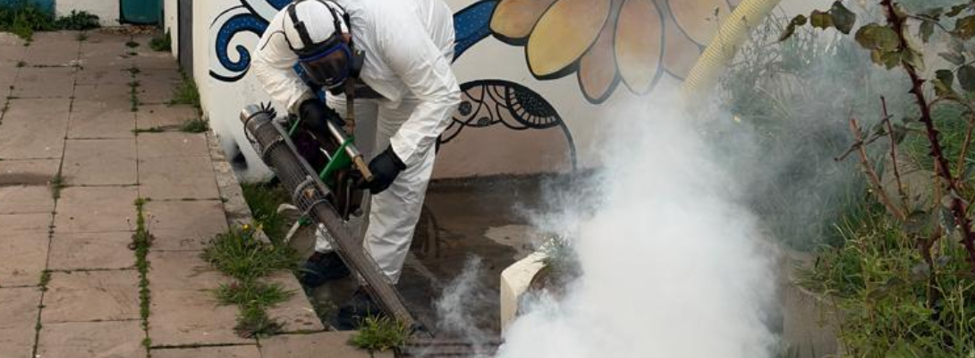 Vektörlere Yönelik Çalışmalar Devam Ediyor