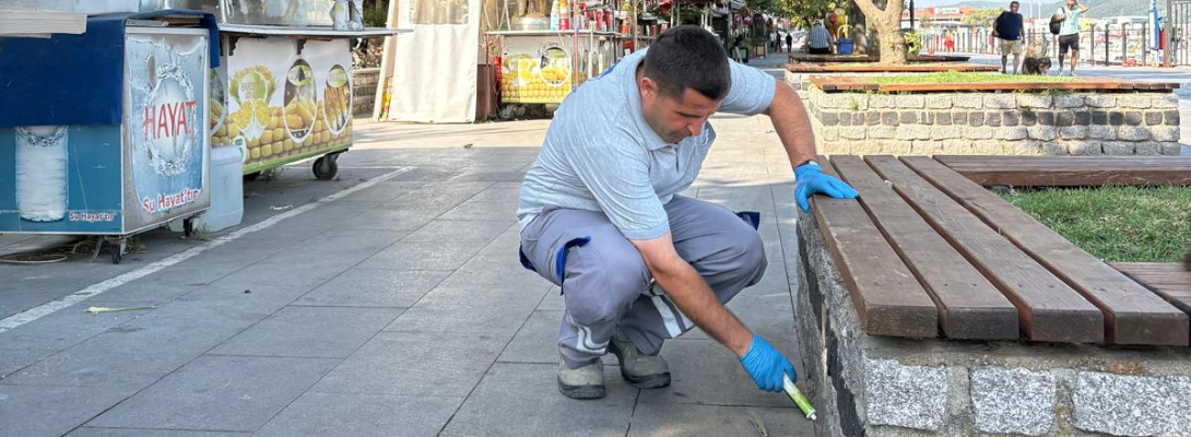 Haşerelerle Mücadele Aralıksız Sürüyor…
